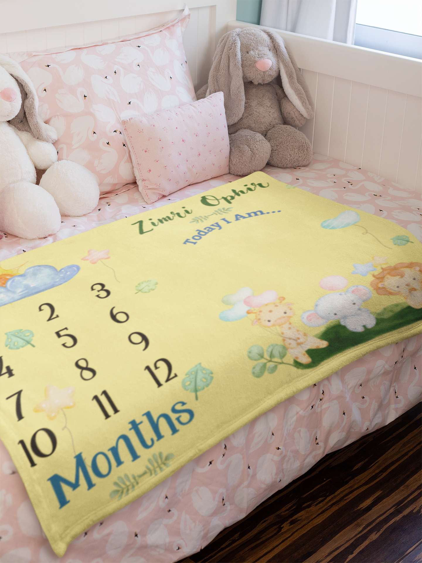 Baby Milestone Blanket